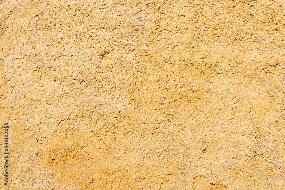 Natural Rocks And Shells Texture of natural rock shell of rocky rock, marine life structure with ...
