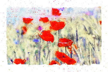 Wall Mural - Watercolor painting of poppy flower blossom in summer time.