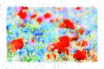 Wall Mural - Watercolor painting of poppy flower and corn flower blossom in summer time. frame with dots.