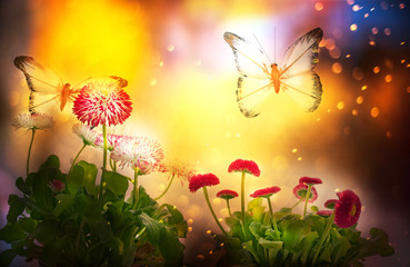 Wall Mural - A fabulous magical photo of the flowers of white and pink daisies and fluttering butterflies. fantastic image with sparkling bokeh. Paradise place.