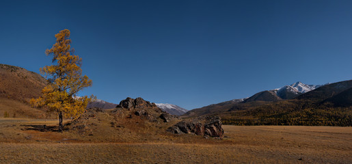 Sticker - Russia. Sunny autumn day in the Altai mountains. Late autumn at the North-Chuya mountain range in the heart of the Kurai steppe.