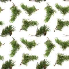 Wall Mural - Pine branches isolated on white background, seamless pattern. Christmas and New Year background.