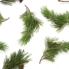 Wall Mural - Pine branches isolated on white background, seamless pattern. Christmas and New Year background.
