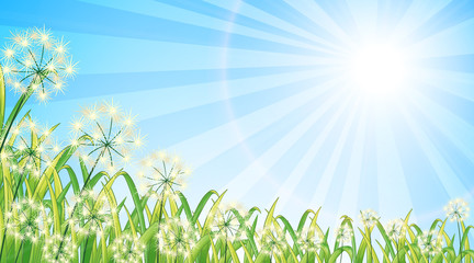 Poster - Nature scene background with flowers and bright sky