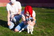 Blue hair young woman and red hair teenage girl play with puppy dog outdoor. Both wear medical mask