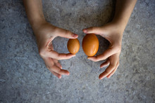 Female Hands Holding Two Chicken Eggs Of Different Sizes