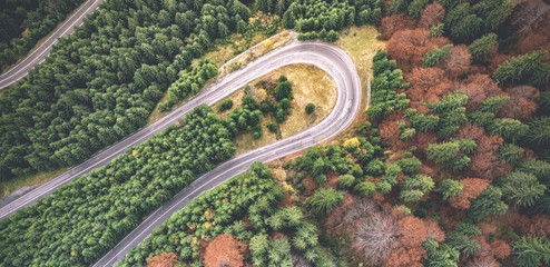 Scenic view of road curve between evergreen pines