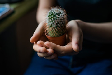 hand holds a cactus