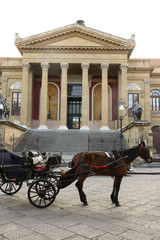 Wall Mural - Teatro massimo