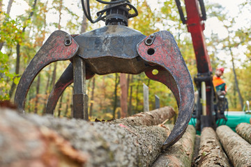 Sticker - Forwarder with forest crane at the Holzrücken