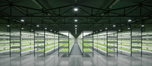 Indoor Hydroponic Vegetable Plant Factory In Exhibition Space Warehouse. Interior Of The Farm Hydroponics. Vegetables Farm In Hydroponics. Lettuce Farm Growing In Greenhouse. Concrete Floor. 3D Render