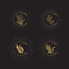 Wall Mural - Hand Drawn Collection of Moons with Herbs and Sunburst. Gold Vector Doodle Set