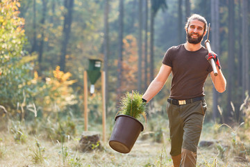  Förster trainee in the FÖJ with pine seedlings