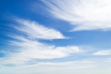 Wall Mural - light white fluffy stratus clouds high in the blue sky on a sunny spring day. weather and different 