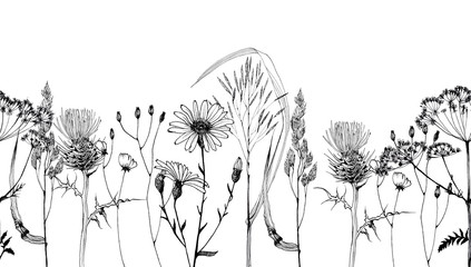 seamless pattern field herbs and flowers, medicinal plants , botany hand- drawn liner black and white illustrations for printing, poppy and Thistle flowers, dill and chamomile, fern.