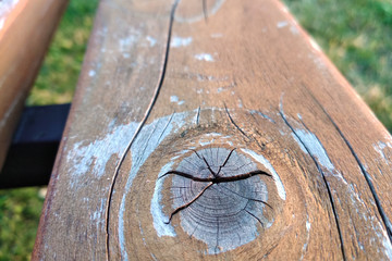 Wall Mural - Close-up of old weathered wooden board with cracks and knots.