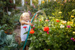 © Елена Бурова - girl child in the garden watering plants, a small gardener, summer in the village