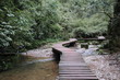  wooden bridge pathway a river in a mountain forest in Sichuan, China