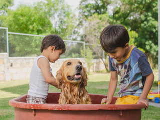 happy kids shower a dog