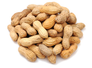 Sticker -  dried peanut