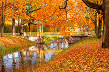 Chinese Bridge In Autumn Foliage In Alexander Park, Pushkin (Tsarskoe Selo), Saint Petersburg, Russia