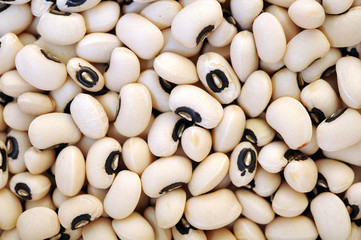 Sticker - black eyes bean