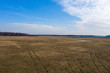 © smiltena - Aerial view of an unplowed field in spring