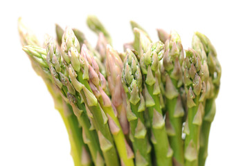 Wall Mural - fresh asparagus