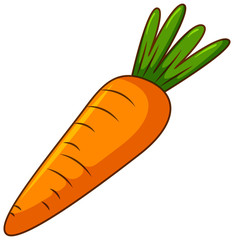 Wall Mural - One carrot on white background