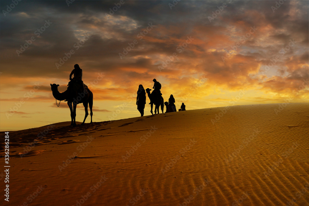Caravan of camel in the sahara desert of Morocco at sunset time	 - obrazy, fototapety, plakaty 