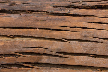 Wooden bark texture lines natural abstract