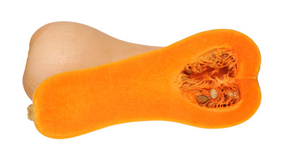 Sticker - butternut squash