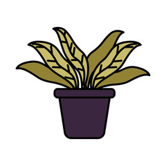 Canvas Print - houseplant in pot isolated icon