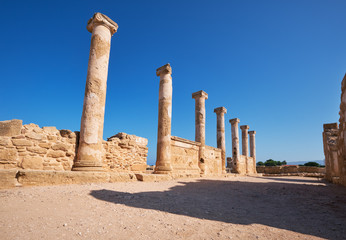 Wall Mural - Сolonnade of ionic pillars of House of Theseus. Paphos Archaeological Park. Cyprus