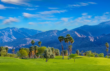 Wall Mural - Palm Springs, a city in the Sonoran Desert of southern California, is known for its hot springs, stylish hotels, golf courses and spas. Palm trees and green belts are found all over this dramatic city