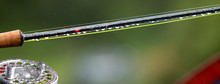 Fragment Of A Fly Fishing Rod With Dew Drops