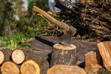 Firewood with an ax in a clearing with green grass