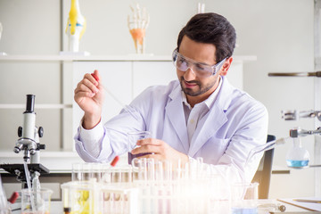 Wall Mural - attractive happiness scientist man lab technician assistant analyzing sample in test tube at laborat