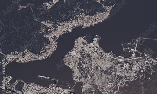 Cuadros en Lienzo Hong Kong city map 3D Rendering. Aerial satellite view.