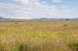 Landschaft im Mountain Zebra Nationalpark