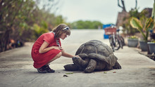 Seychelles, La Digue, A Girl And A Big Turtle