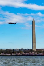 Vertical Shot Of The Obelisk In The President's Park, Washington DC, USA