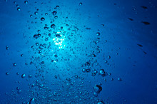 The Bubbles Of A Diver
