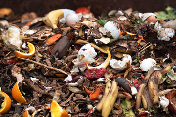 Organic food leftovers. Concept Organic waste, clean environment