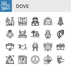 Poster - dove simple icons set