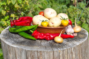 Harvest of fresh vegetables on an old tree stump in the garden