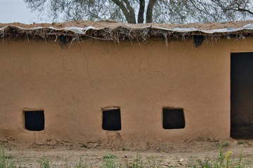 Canvas Print - Beautiful view of an old clay cottage with small windows and trees in the background