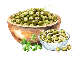 Wall Mural - Raw and Sprouted mung beans. Hand drawn watercolor illustration isolated on white background