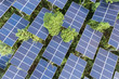 © AlexPhototest - Solar power panel on sky background, green clean Alternative power energy concept.