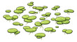 Common duckweed illustration, drawing, colorful doodle vector